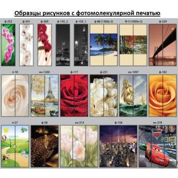 Шкаф-купе Дом В 206 (2000х600х2400) Шкаф-купе Дом В 206 (2000х600х2400)