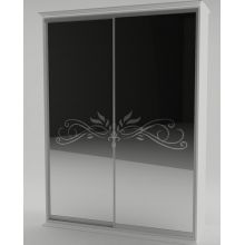Шкаф-купе Неман Инесса 160x240x60