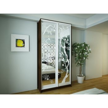 Шкаф-купе Дом В 176 (1700х600х2400) Шкаф-купе Дом В 176 (1700х600х2400)
