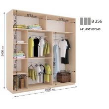 Шкаф-купе Дом В 256 (2500х600х2400)