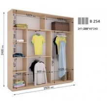 Шкаф-купе Дом В 254 (2500х450х2400)